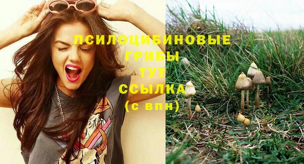 твердый Кедровый